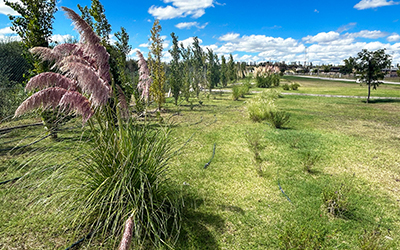 Un Barrio que Crece Verde